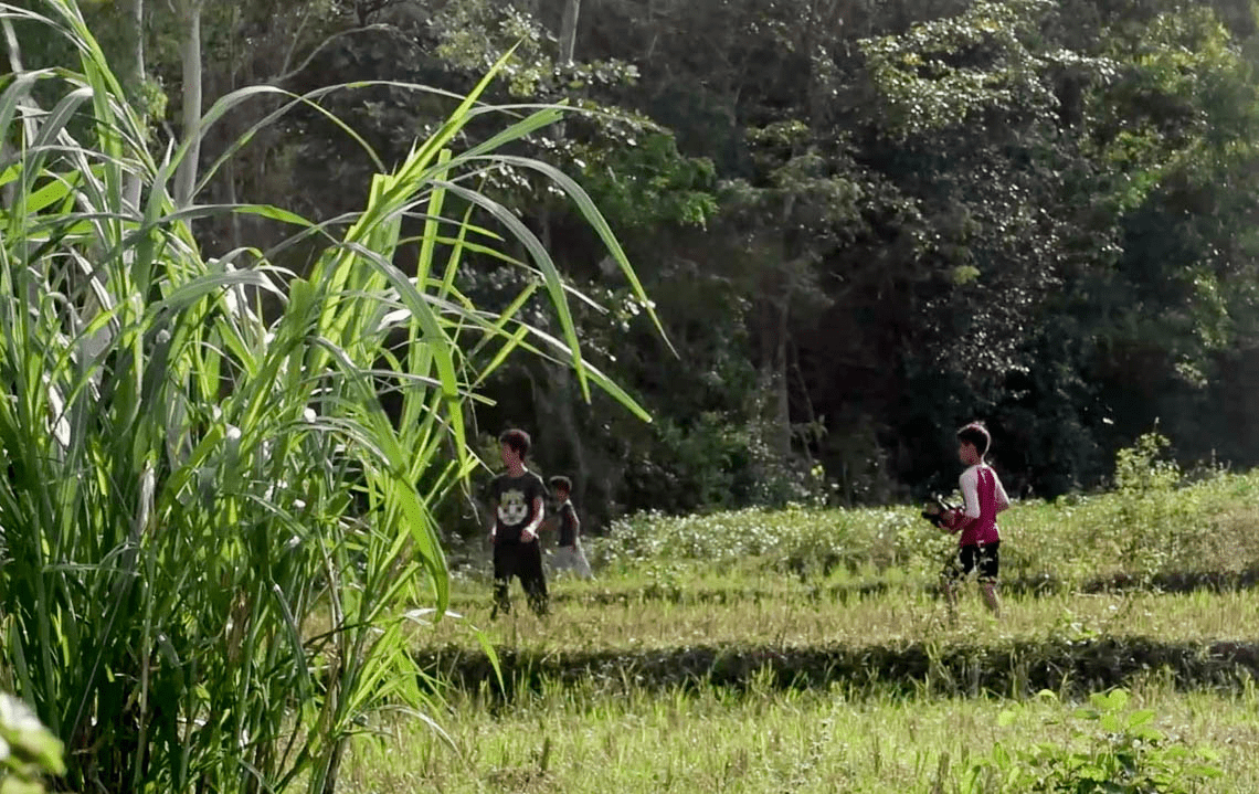 filipino boys with chicken on farmland in the philippines